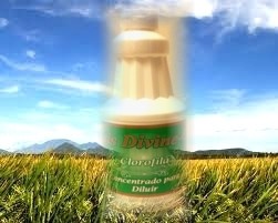 ANTIOXIDANTE, DIURÉTICO